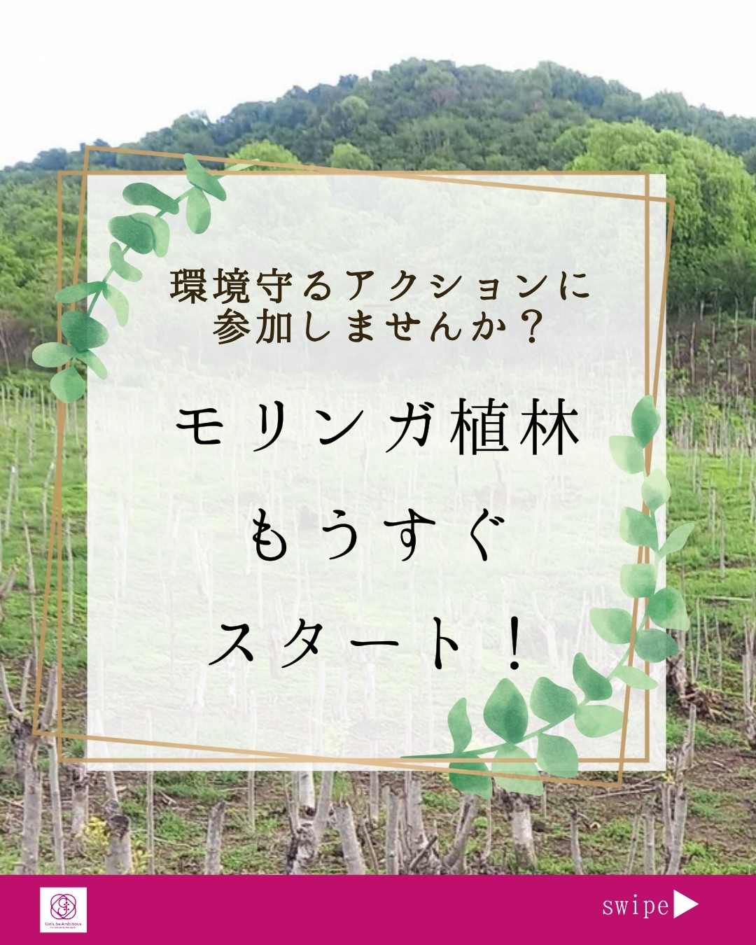 モリンガで地球を守る|モリンガ植林プロジェクト2025