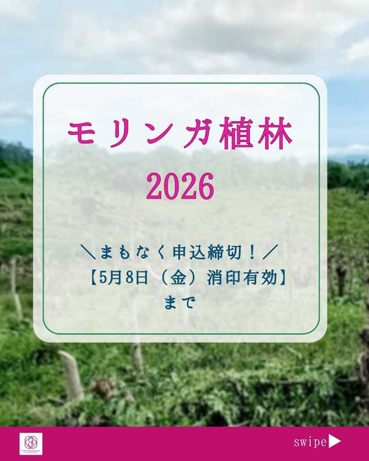 あなたの名前に、地球の未来を託して。モリンガ植林プロジェクト2026、締切間近！