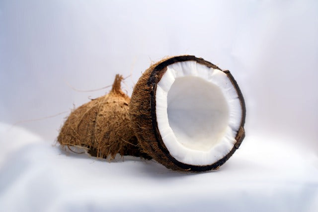 ココナッツオイルの新しい効果｜コロナ治療＠フィリピン
